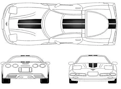 Double RACING STRIPES Black Gun Metal2 CARBON FIBER Vinyl (Fits CORVETTE C5) • $74.95