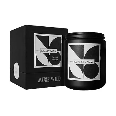 MUSEWILD Scented Candles Natural Soy Wax Candles • £0.99