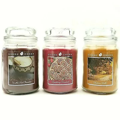 Candle Jar Scented Goose Creek 2 Wick 20 Oz Home Decor Table Candle • $22.99