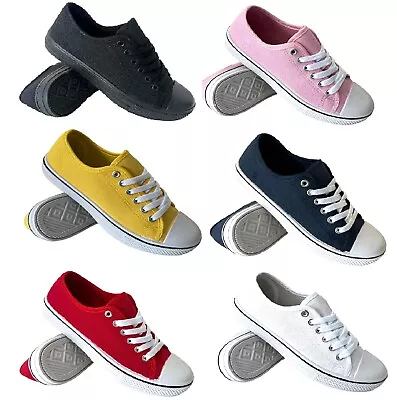 Ladies Flat Womens Lace Up Plimsolls Canvas Summer Pumps Shoes Trainers Size 3-8 • £6.99