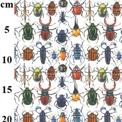 100% Cotton Digital Fabric Rose & Hubble Bugs Beetles Insects Animals 150cm Wide • £4.75