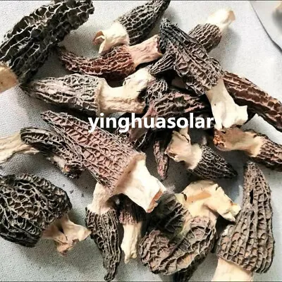 Dried Morel Mushrooms Wild Morchellas • $14.79