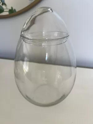 Vtg Easter Egg Shape Clear Glass Jar Terrarium Canister 9” • $24.99