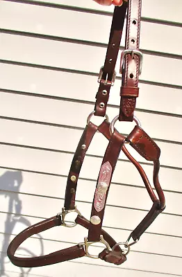 VINTAGE CIRCLE Y 424 Marked-SHOW HALTER-Medium PONY Or Large Weanling Horse Size • $42.50