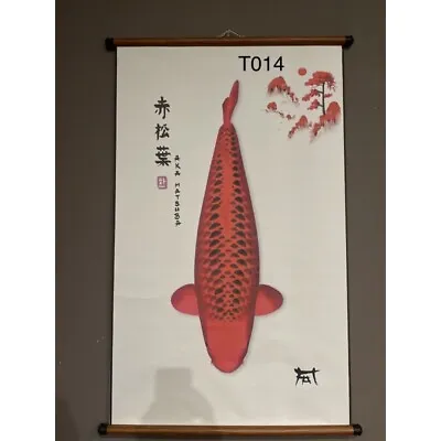 Aquarium Koi Art Print - Aka Matsuba • $89.99