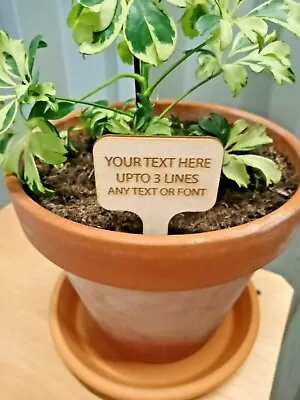 £2.69 • Buy Custom T Shape Garden Wooden Label Name Tags Herb Plant Pots Markers Eco Tray