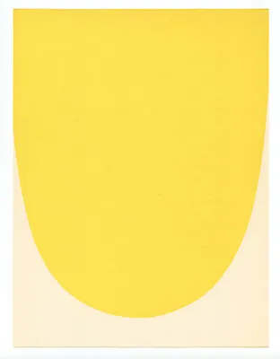 Ellsworth Kelly Lithograph Printed In 1962 D • $299.99