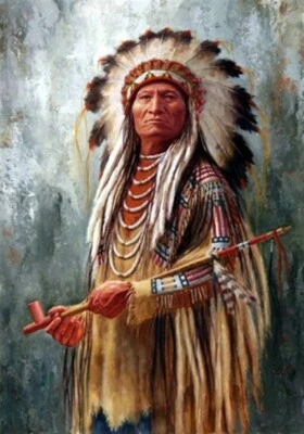 $17.95 • Buy 5D Diamond Painting Kit Full Round Drill Indian Chief Pipe 20X30 Craft Art DYI