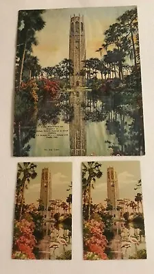 Vtg Bok Tower Gardens Florida Hand Colored Print & 2 Barnhill Postcards Lot Of 3 • $24.95
