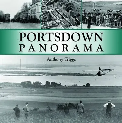 Portsdown Panorama By Triggs Anthony Paperback Book The Cheap Fast Free Post • £8.49