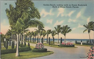 Golden Beach Looking North Miami Beach Florida Linen Vintage Post Card • $10.45