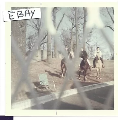 Rare Elvis Original Photo Candid Snapshot 2/10/68 On Horse Judy Palmer # 412 • $4.99