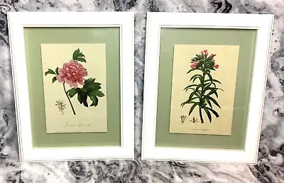 IKEA Vintage 2 Art Prints Framed Flower Botanical Bispgarden Picture PL Gallery • £19.99