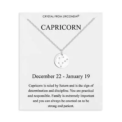 Capricorn Zodiac Star Sign Disc Necklace Created With Zircondia® Crystals • £9.99