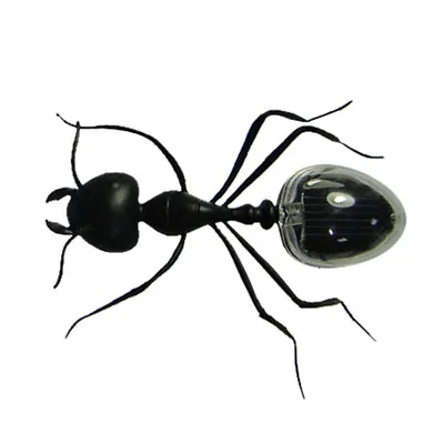 £7.55 • Buy Solar Ant Insect Animal Model Kids Fun Toy - Powered By Solar Energy