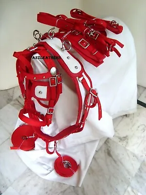 Exclusive Quality Red Driving Harness For Single Horse Cart- Available 4 Sizes • $156.45