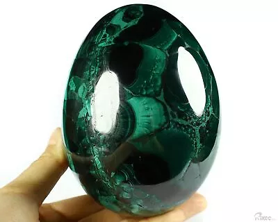 Huge 4.6  Malachite Carved Crystal Egg Crystal Healing • $549