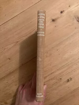 £4.50 • Buy Vintage Book British Nesting Birds And Their Eggs - Barrie Hodgson - Hardback