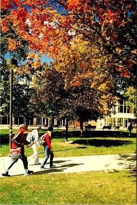 Bowling Green Ohio  BOWLING GREEN STATE UNIVERSITY Students~Campus 4X6 Postcard • $5.04