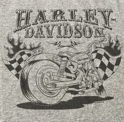 $17.60 • Buy (Las Vegas Kustom Kulture Style) HARLEY-DAVIDSON MOTORCYCLE GRAY SHIRT Sz LARGE