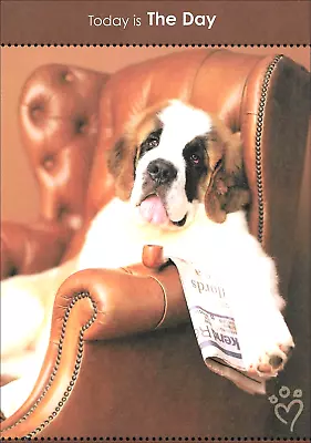 Saint Bernard Dog Birthday Card  ~ Don't Worry - The Bark Is Worse Than Its Bite • $3.99