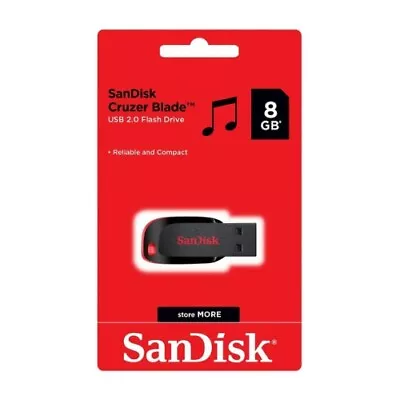 SanDisk Usb With Electronic Music (Club Music) • $30