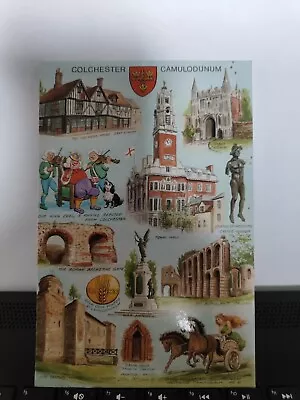 Colchester Camulodunum Postcard Essex  • £0.99
