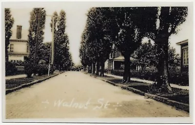 Laminated Reproduction Postcard Mount Pleasant PA Walnut Street • $5.95