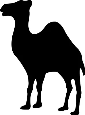 Camel Masonic 1 Color Window Wall Vinyl Decal Sticker Printed • $4.70