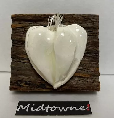 Vintage Signed Carol Cline Ceramic Hand Sculpted Garlic On Vintage Barn Wood • $29.99