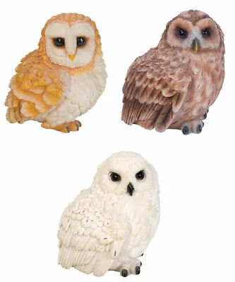 Barn Owl Snowy Owl Tawny Owl Garden Ornaments Outdoor Or Indoor Decoration 13cm • £9.95