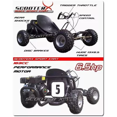 Sport Kart Go Cart 6.5 HP Scooter X Off Road Dirt Tires 196cc Four Stroke • $1475.99