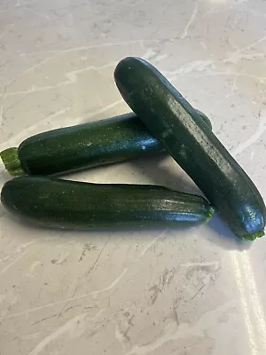 ZUCCHINI 'Black Beauty' 10 Seeds HEIRLOOM Vegetable  • $3.90