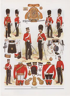 Vintage British Uniform Print 1854 2nd (Royal North British) Reg Of Dragoons • £27