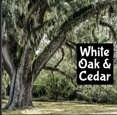 WHITE OAK & CEDAR Perfume Cologne EDP Body Wash Scrub Bath Hair Fragrance Oil • $7.50