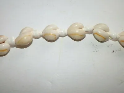 Cowrie Shell 16  Necklace Hawaiian Vintage Authentic • $9.95