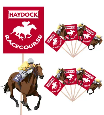 Haydock Horse Racing Themed Cupcake Food Cake Decorations Picks Toppers 14 Pack • £5.99