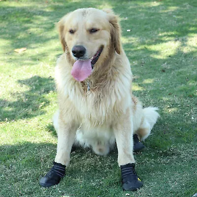 Dog Shoes Boots Waterproof Shoes For Dogs With Reflective  Rugged Y3P3 • $27.85