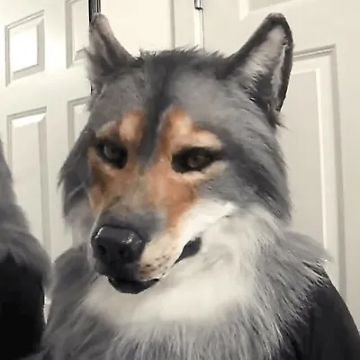 £33.06 • Buy Faux Werewolf Mask Wolfman Masks Latex Costume Prop Halloween Novelty Wolf Mask1