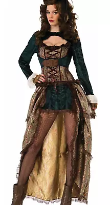 Women's Madame Steampunk Costume SIZE STANDARD (Used) • $81.99