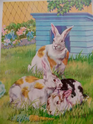 Vintage Rabbits Bunny Broken Satin Rex 1939 Children Book Illustration V Becker • $4.49