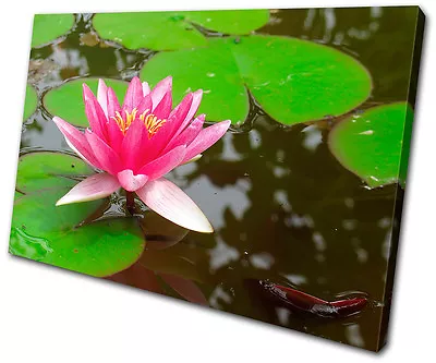 Floral Water Lily Flowers SINGLE CANVAS WALL ART Picture Print VA • £44.99