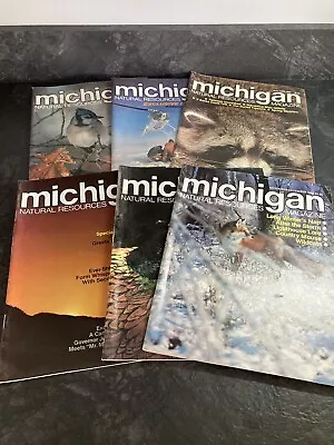 Vintage 1985 Michigan Natural Resources Magazine Lot Of 6 - FULL YEAR • $9.99