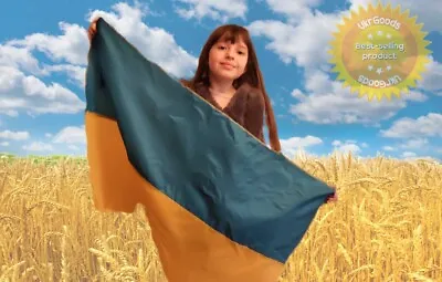 2.2x3.3 Ukraine Flag Ukrainian Plain House Banner Quality 100D New • $14.95