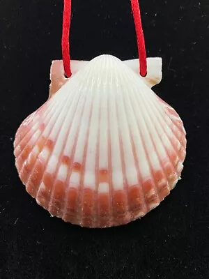 Ornament Scallop Shell #1 Camino Pilgrim • $12.50