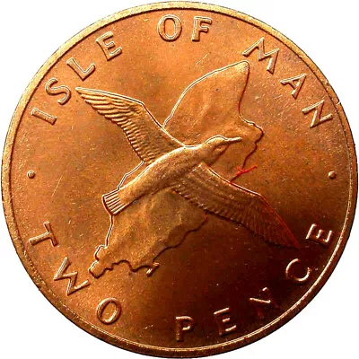  Isle Of Man Manx Shearwater 2p Coin - Circulated • £2.10