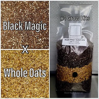 Premium Exotic Dung ALL-IN-ONE Mushroom Grow Kit 4 Pack Kit 5lb Bags 🍄✨ • £80.42