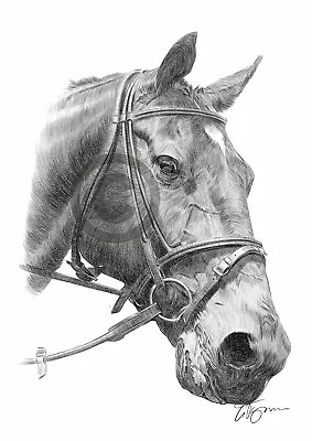 BROWN HORSE Pencil Drawing Artwork Print A4 / A3 UK Signed By UK Artist • £8.99