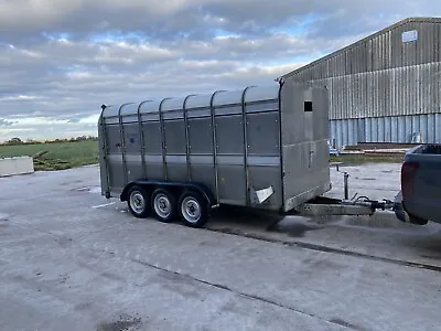 14ft Ifor Williams Livestock/ Cattle Trailer • £4150