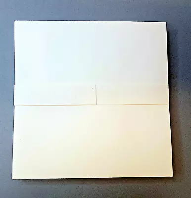 Luxury Ivory Envelopes 6  Square Lot Of 20 Perfect For Wedding Greeting Cards • $10